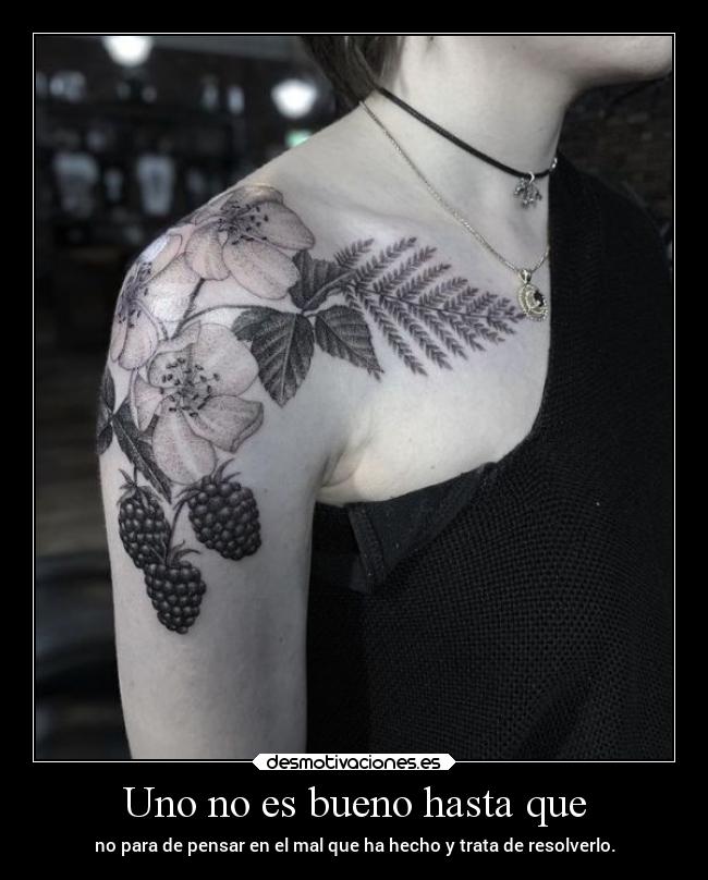 carteles desmotivaciones vida clandesplazado soyunidiotatm manada32 projectd desmotivaciones