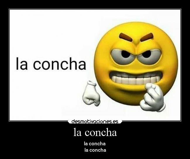 la concha - la concha
la concha