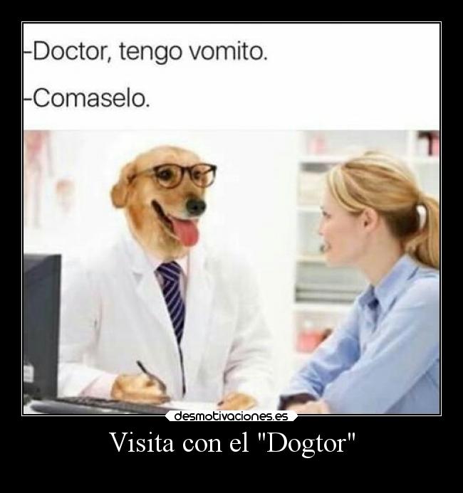 Visita con el Dogtor - 