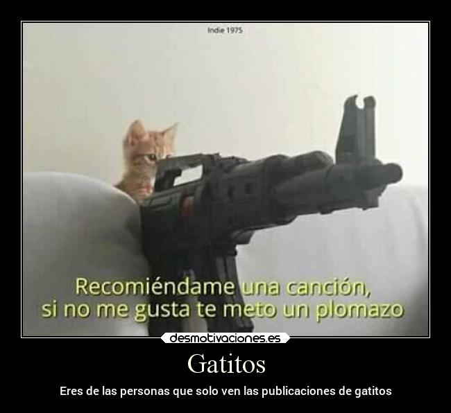 carteles memes desmotivaciones