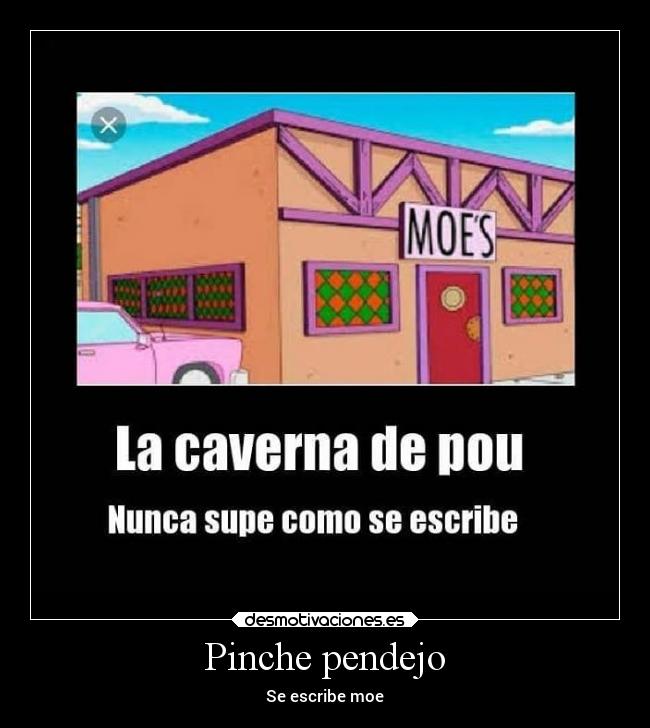 Pinche pendejo - 