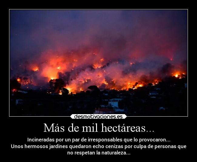 Más de mil hectáreas... - Incineradas por un par de irresponsables que lo provocaron...
Unos hermosos jardines quedaron echo cenizas por culpa de personas que
no respetan la naturaleza...