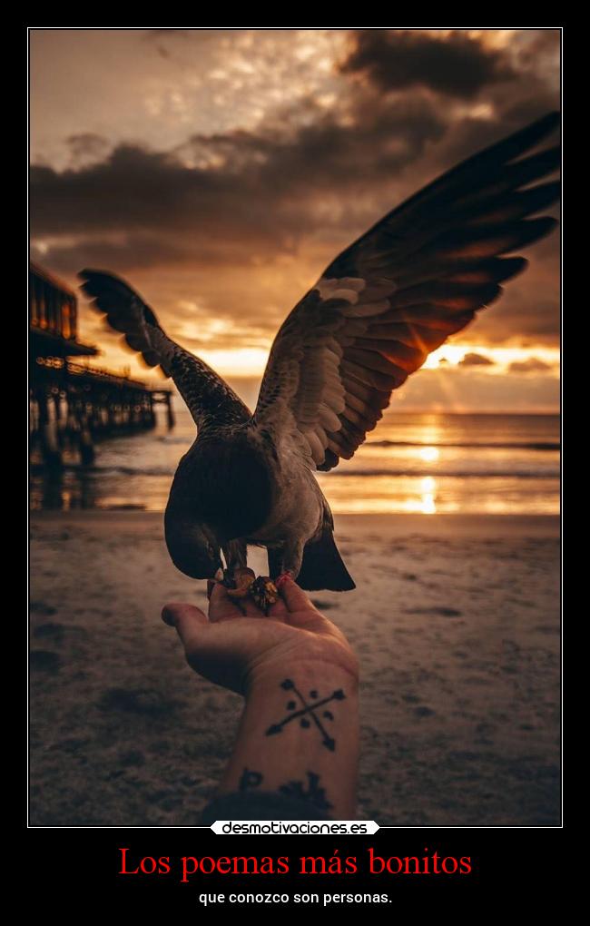 Los poemas más bonitos - que conozco son personas.