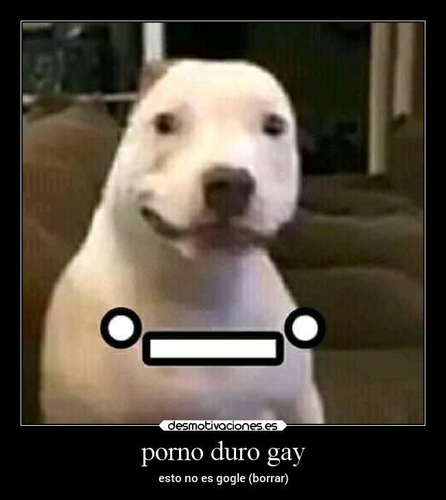 porno duro gay -