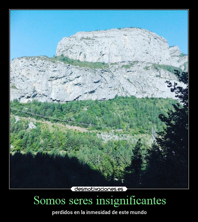Somos seres insignificantes -