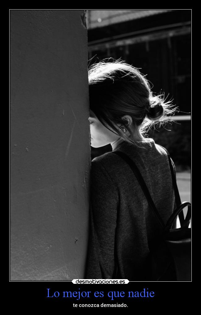 carteles vida porqueluegovienenlosllantosylasmierdas mels desmotivaciones