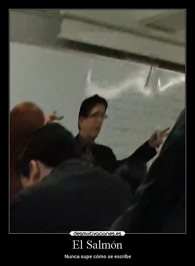 carteles amor salmon desmotivaciones