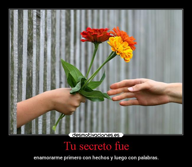 carteles amor yavolvi holadesmotivaciones desmotivaciones