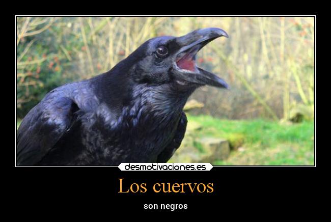 Los cuervos - 