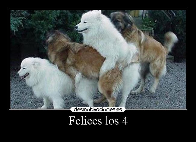 Felices los 4 - 