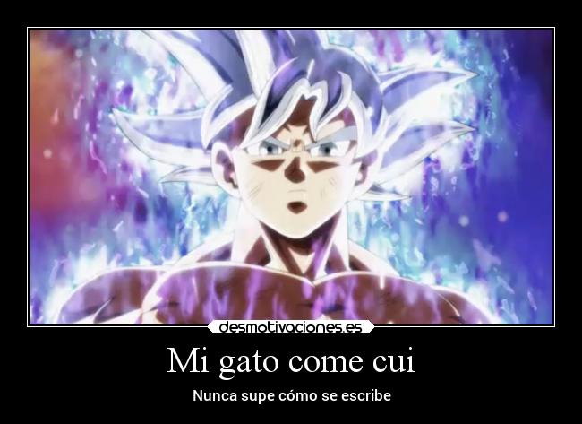 Mi gato come cui - Nunca supe cómo se escribe