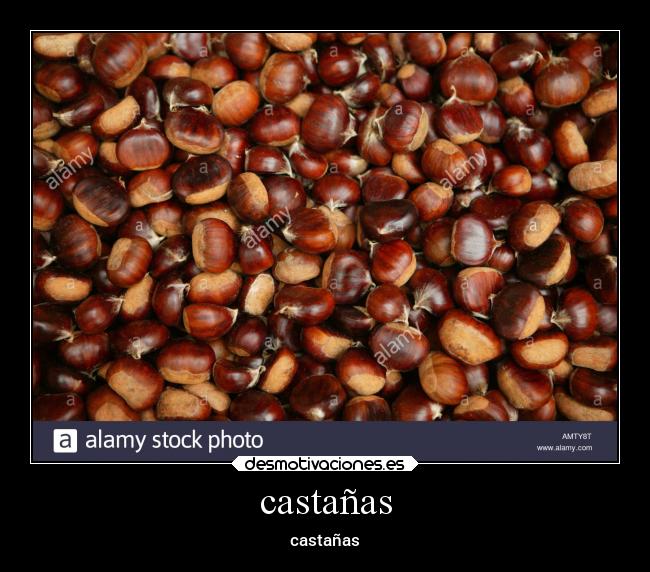 castañas - castañas
