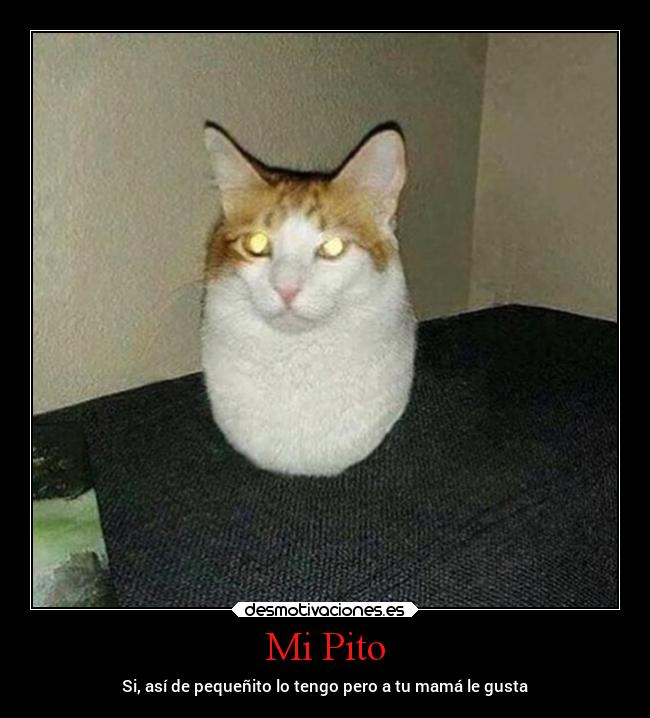 carteles celos amor sexo desmotivaciones