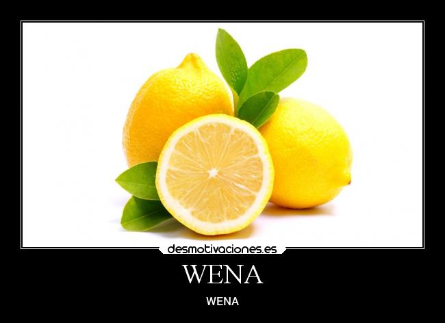 WENA - WENA