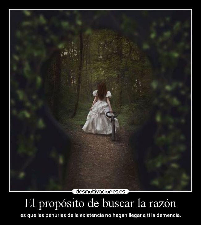 El propósito de buscar la razón -