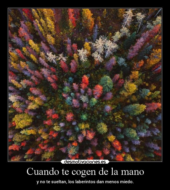 Cuando te cogen de la mano -