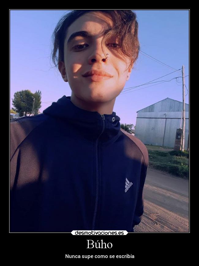 Búho -