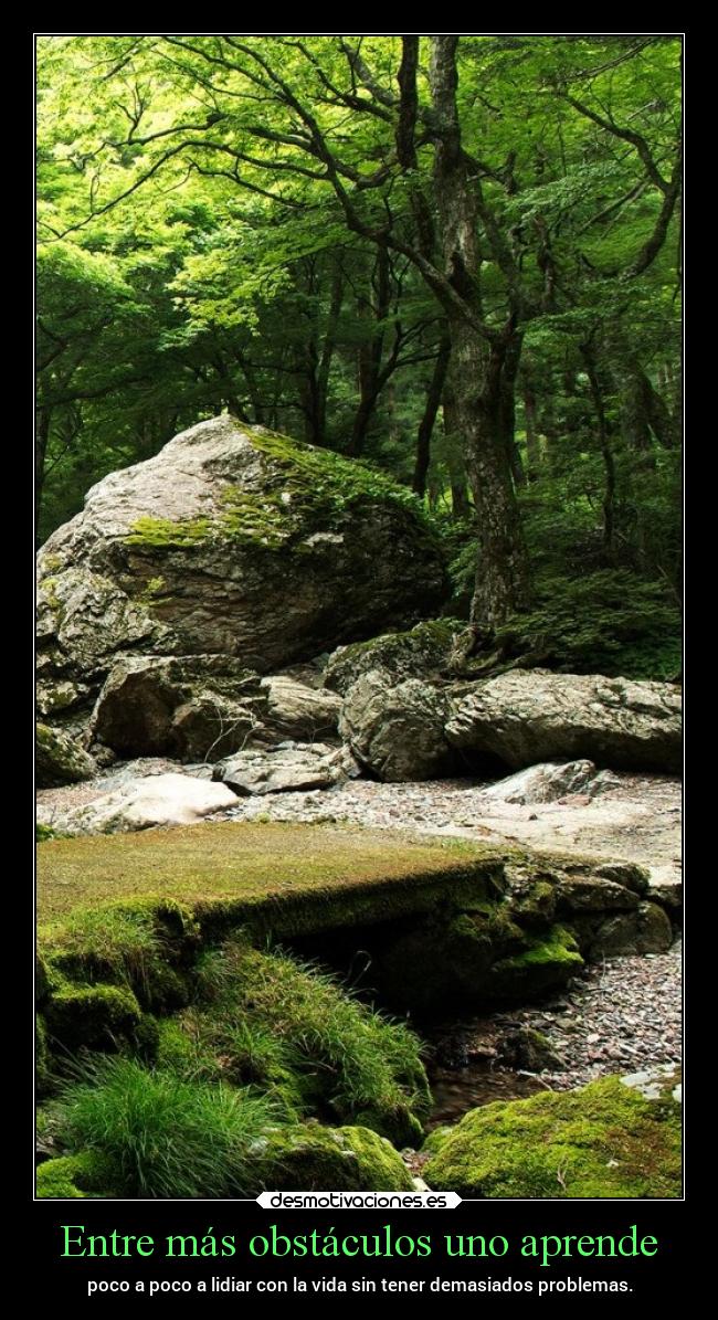 carteles obstaculos vida chopper igbt desmotivaciones