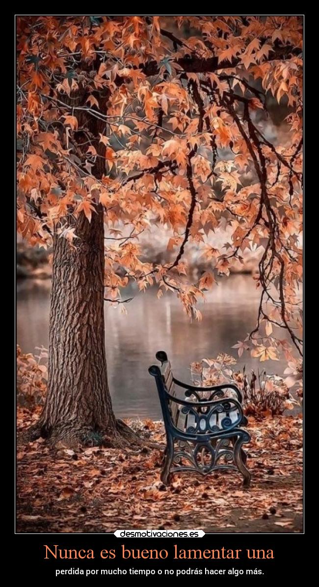 Nunca es bueno lamentar una -