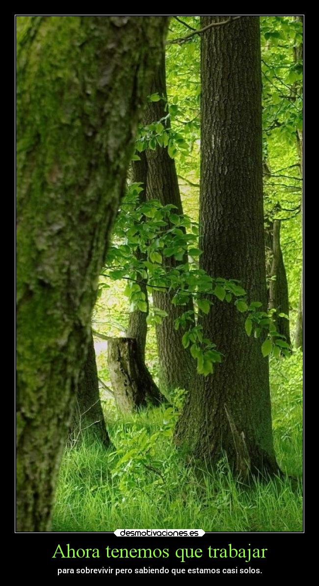 carteles vida chopper igbt desmotivaciones