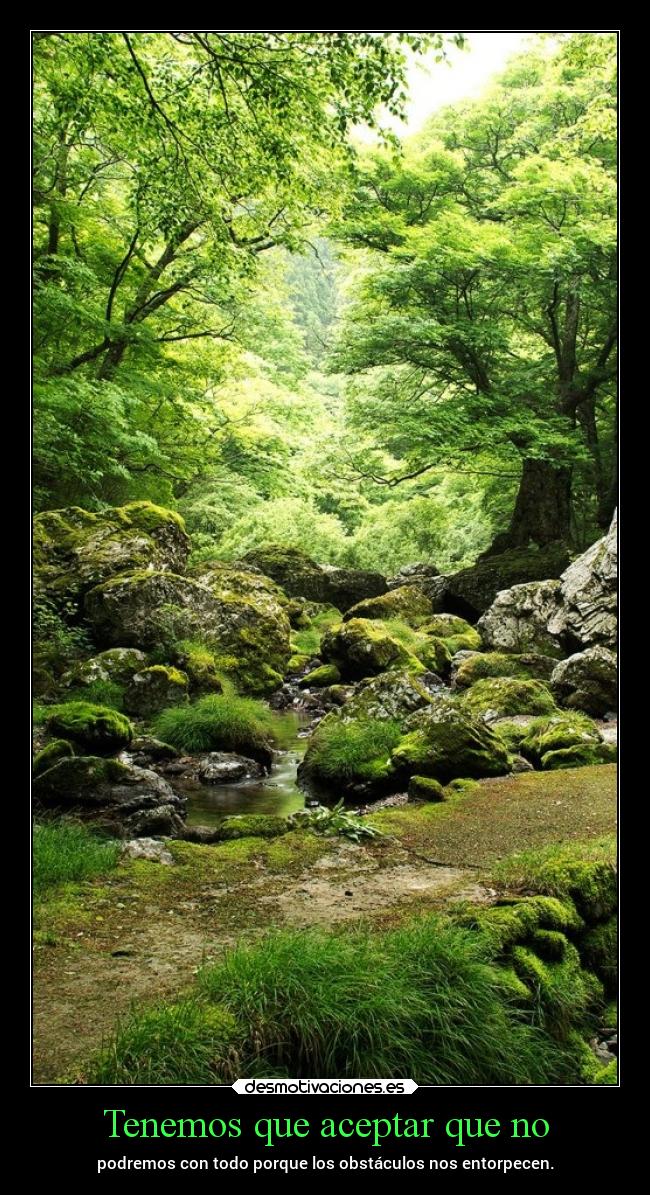 carteles vida chopper igbt desmotivaciones