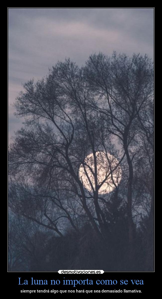 carteles vida chopper igbt desmotivaciones