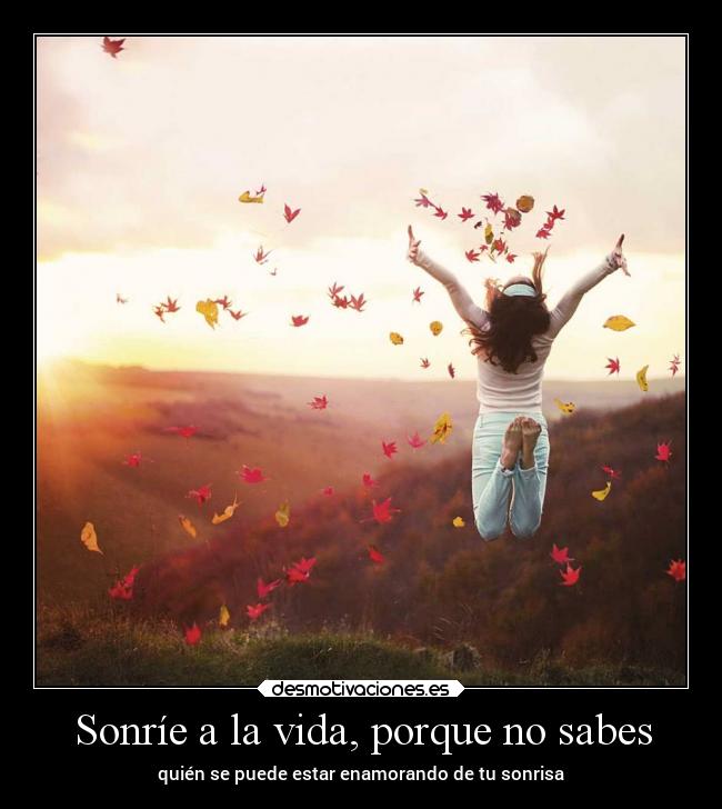 carteles vida frases vida sonrisa desmotivaciones