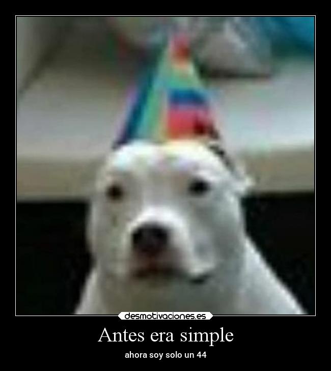 Antes era simple - ahora soy solo un 44