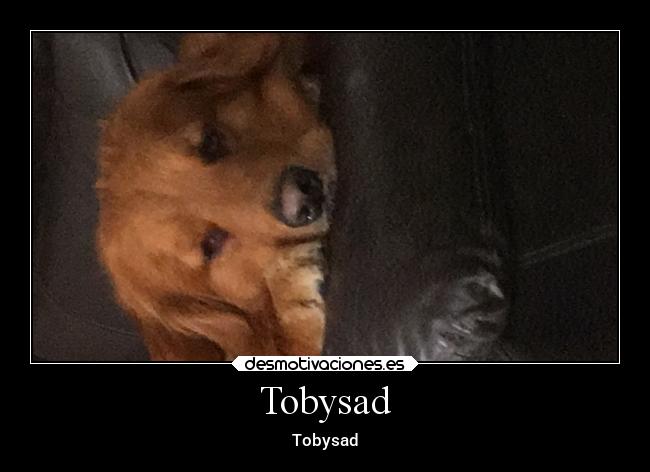 carteles abrazos desmotivaciones