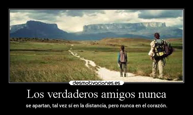 Los verdaderos amigos nunca - 