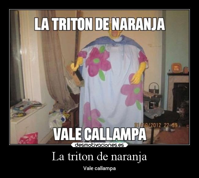 La triton de naranja - 