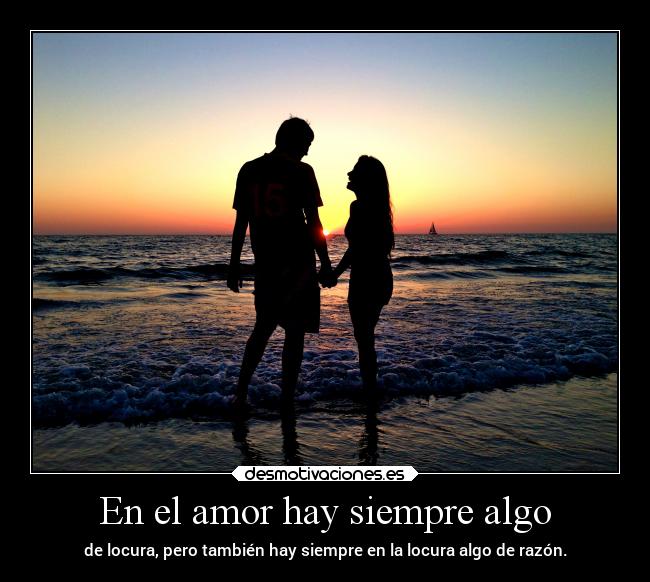 carteles amor amor frases desmotivaciones