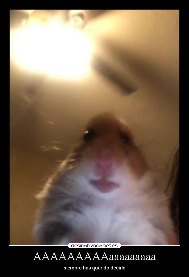 AAAAAAAAAaaaaaaaaa - siempre has querido decirlo