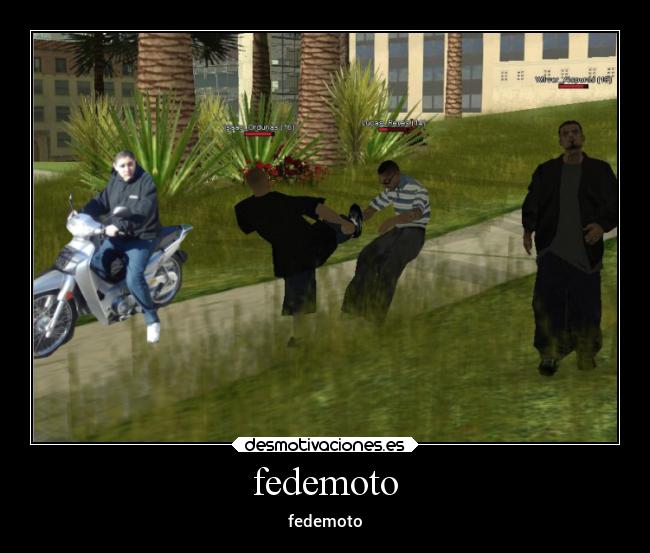 fedemoto - fedemoto