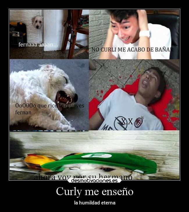 Curly me enseño - 
