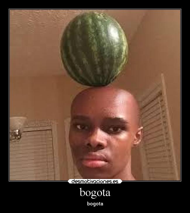 carteles bogota bogota tatuajes desmotivaciones