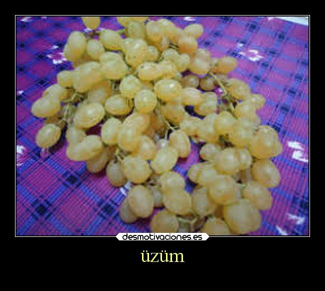 üzüm -