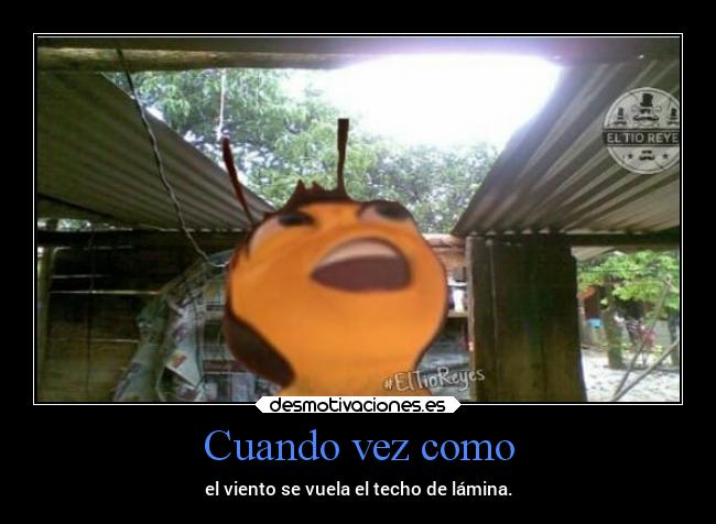 Cuando vez como - el viento se vuela el techo de lámina.