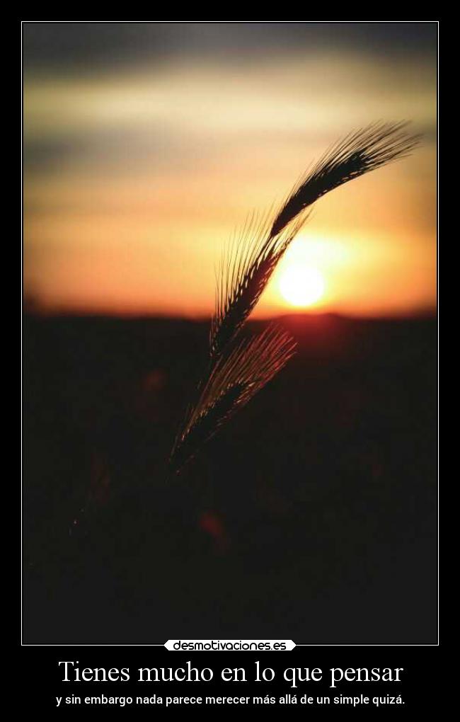 carteles desmotivaciones vida clandesplazado soyunidiotatm manada32 projectd desmotivaciones