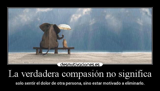 La verdadera compasión no significa -