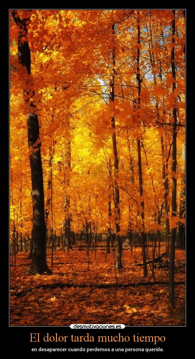 El dolor tarda mucho tiempo -