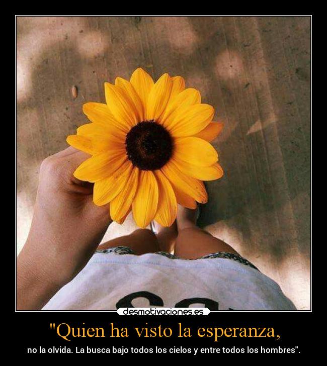 Quien ha visto la esperanza, - 