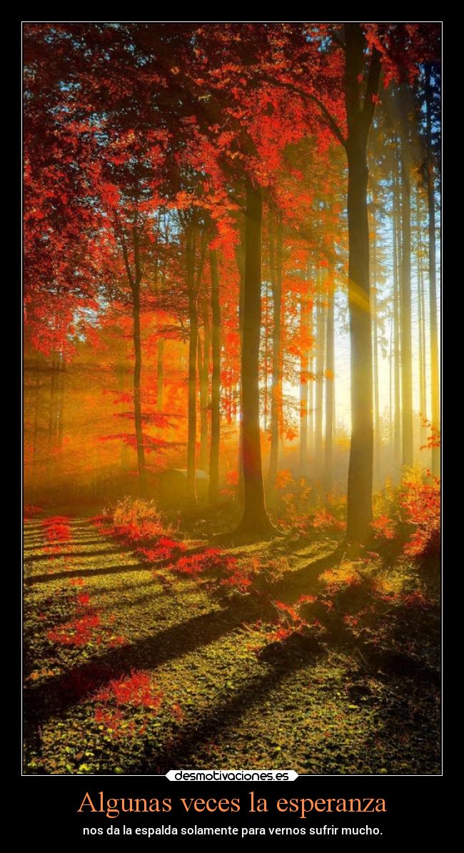Algunas veces la esperanza - 