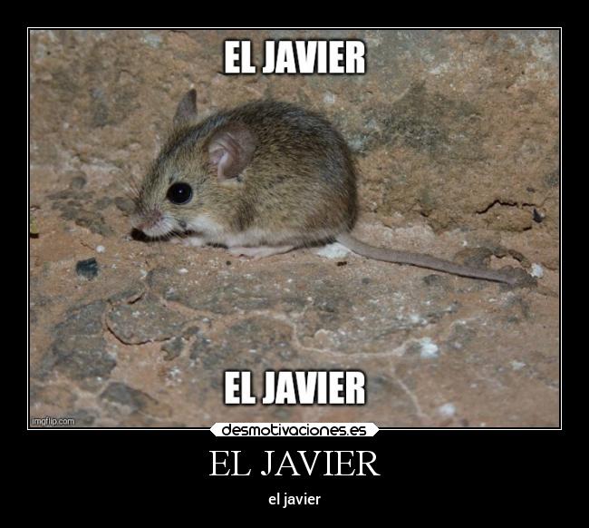EL JAVIER - 