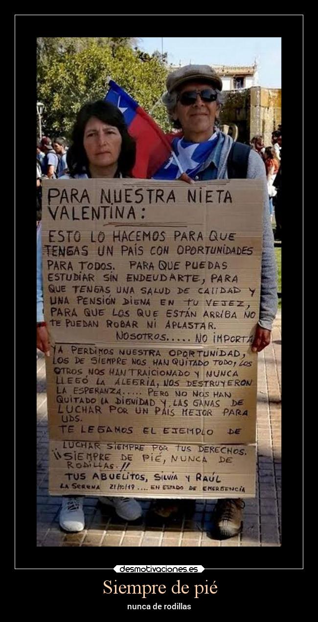 carteles libertad chile lucha desmotivaciones