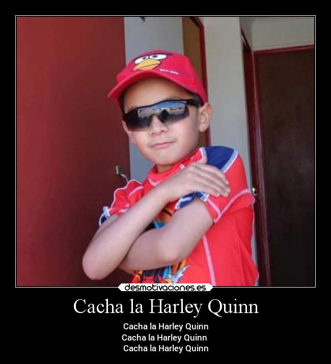 carteles memes desmotivaciones