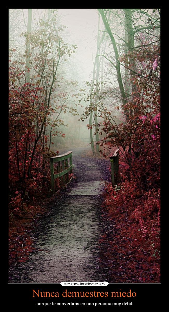 Nunca demuestres miedo - 