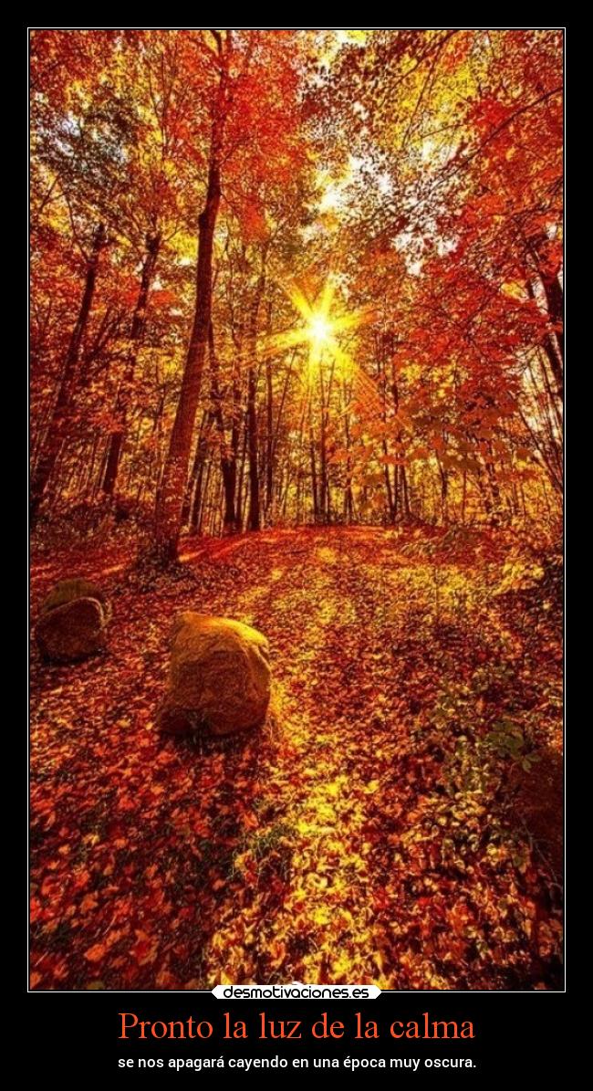 Pronto la luz de la calma - 