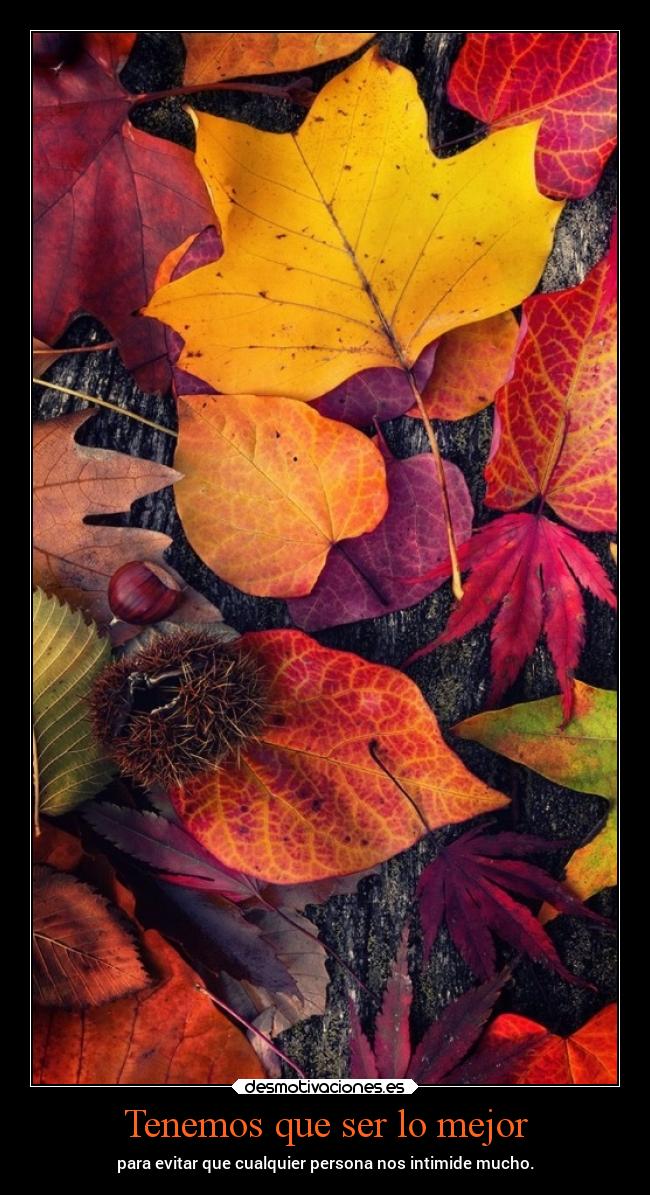 Tenemos que ser lo mejor - 