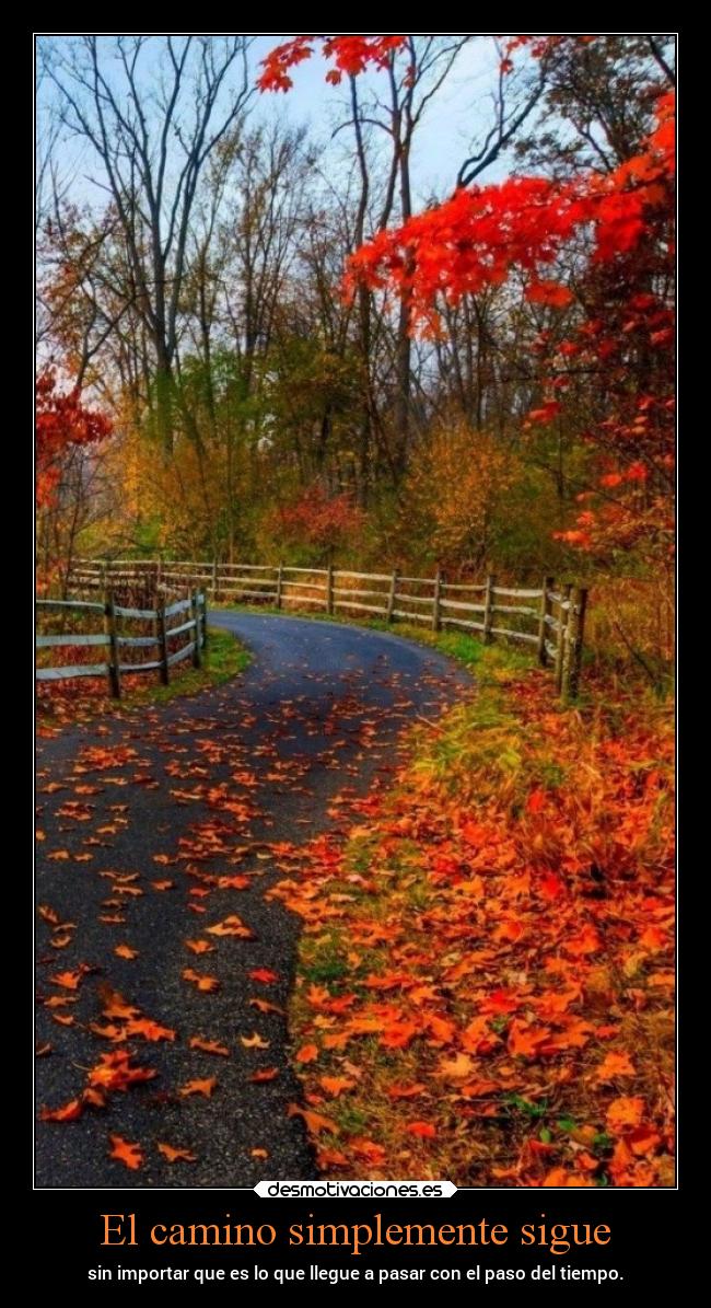 carteles vida chopper igbt desmohalloween2019 desmotivaciones